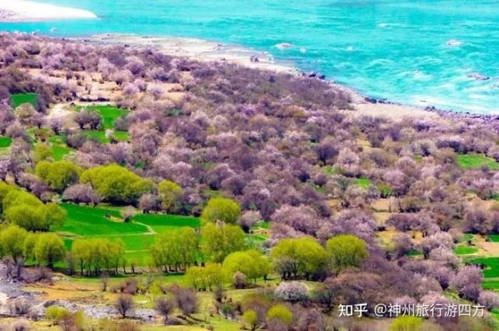 西藏拉萨自由行旅游6日游路线攻略,怎么样做西藏 西藏拉萨自由行旅游6日游路线攻略,怎么样做西藏