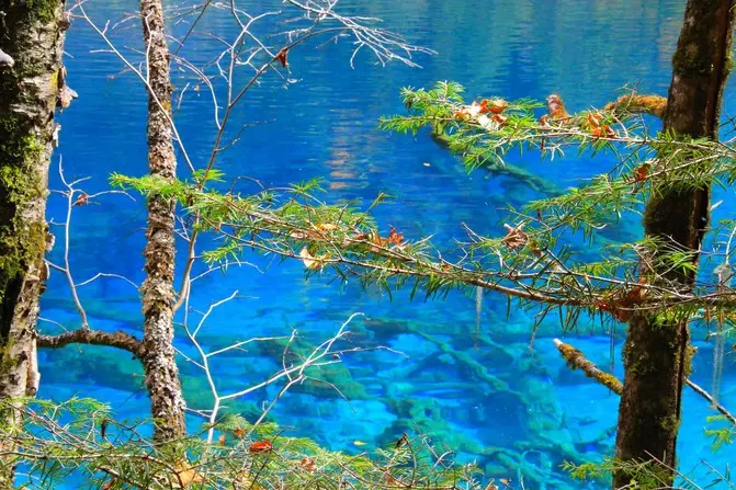 四川成都最佳伴游线路图,四川九寨沟私人伴游详细攻略 四川成都最佳伴游线路图,四川九寨沟私人伴游详细攻略