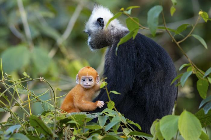 自驾探索山水极致 驶入喀斯特秘境 自驾探索山水极致 驶入喀斯特秘境