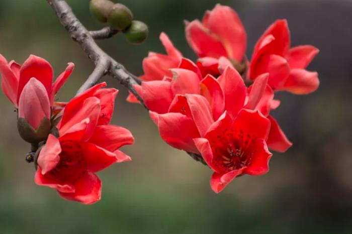 自驾探索山水极致 驶入喀斯特秘境 自驾探索山水极致 驶入喀斯特秘境