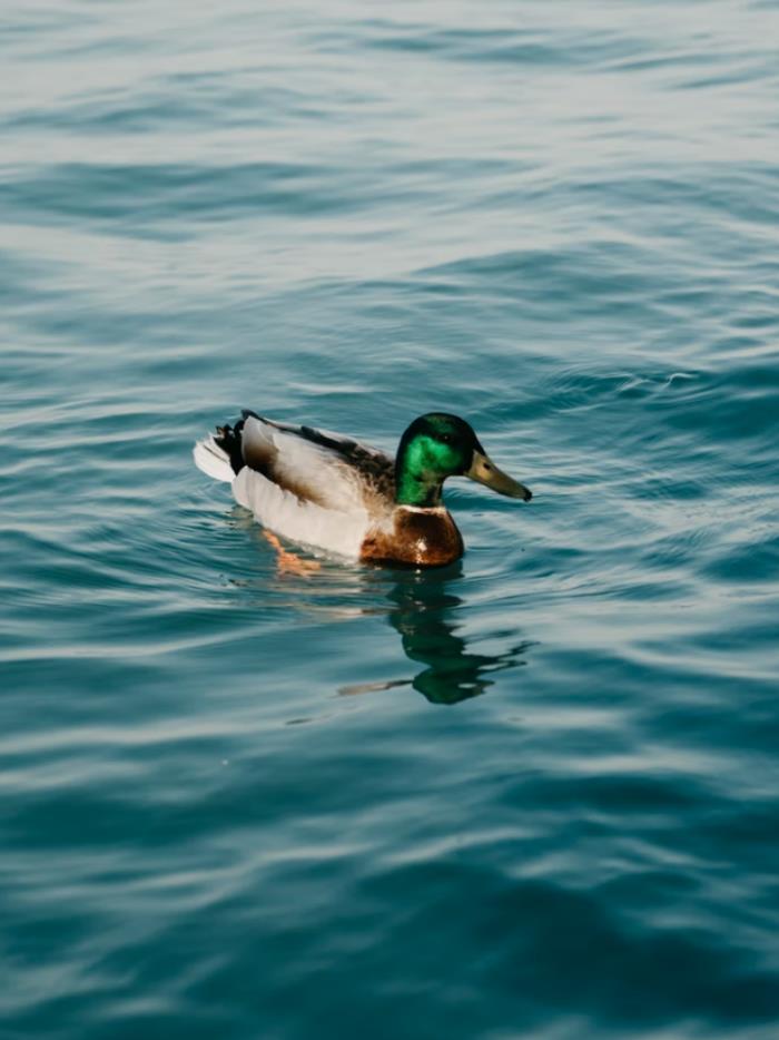 自驾探索山水极致 驶入喀斯特秘境 自驾探索山水极致 驶入喀斯特秘境