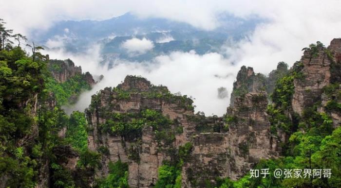 张家界旅游不请套路的实在私人导游的费用是多少合适? 张家界旅游不请套路的实在私人导游的费用是多少合适?
