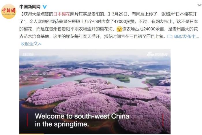 国内花海顶流,火了四年,免收门票,浪漫不会迟到! 国内花海顶流,火了四年,免收门票,浪漫不会迟到!