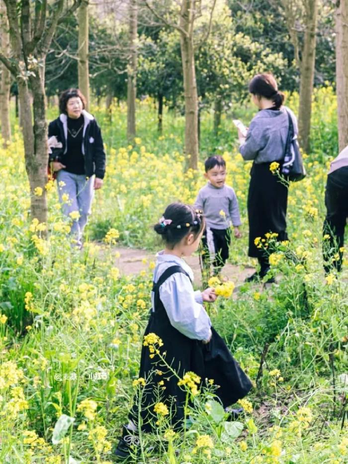 国内花海顶流,火了四年,免收门票,浪漫不会迟到! 国内花海顶流,火了四年,免收门票,浪漫不会迟到!