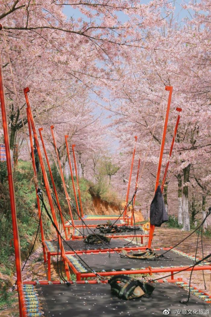 国内花海顶流,火了四年,免收门票,浪漫不会迟到! 国内花海顶流,火了四年,免收门票,浪漫不会迟到!