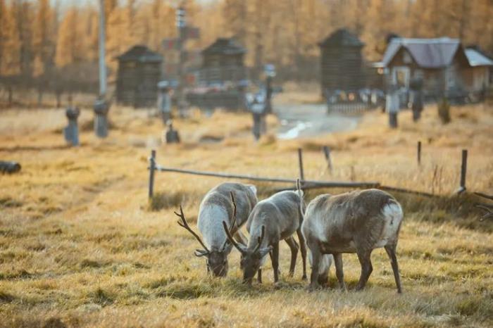 累了,倦了,就去这10个古村落过慢生活 累了,倦了,就去这10个古村落过慢生活