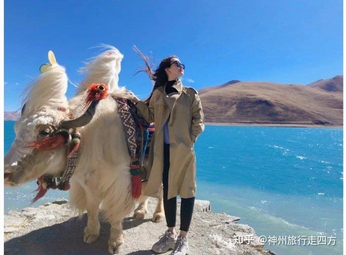 西藏纯玩旅游详细攻略自助游,西藏好玩的旅游景点介绍! 西藏纯玩旅游详细攻略自助游,西藏好玩的旅游景点介绍!