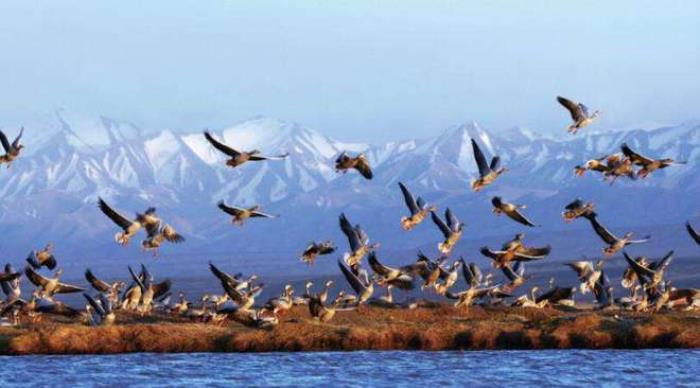 探索“第五大无人区”,抵达丝路的千年传奇 探索“第五大无人区”,抵达丝路的千年传奇