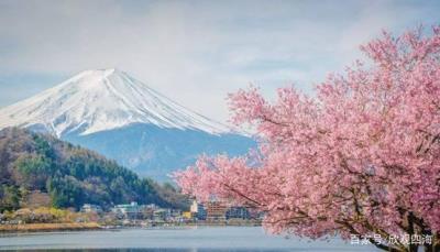 中国小伙在日本大赚特赚，感叹日本伴游服务质