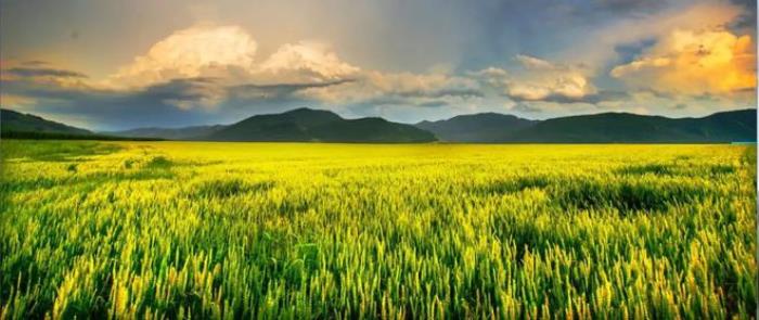 清明小长假,可以去这些旅游景点看看! 清明小长假,可以去这些旅游景点看看!