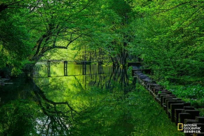 徽州归来不看春,中国江南春意的最高潮! 徽州归来不看春,中国江南春意的最高潮!