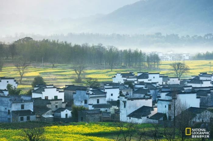 徽州归来不看春,中国江南春意的最高潮! 徽州归来不看春,中国江南春意的最高潮!