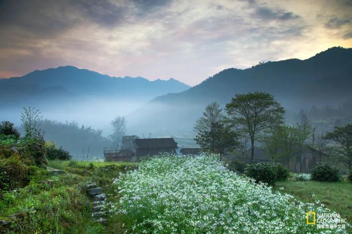 徽州归来不看春,中国江南春意的最高潮! 徽州归来不看春,中国江南春意的最高潮!