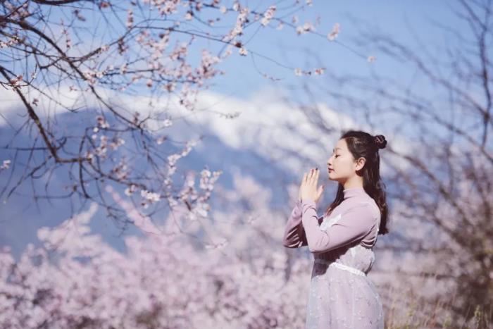 年年卖爆的西藏林芝桃花 解锁全新玩法! 年年卖爆的西藏林芝桃花 解锁全新玩法!