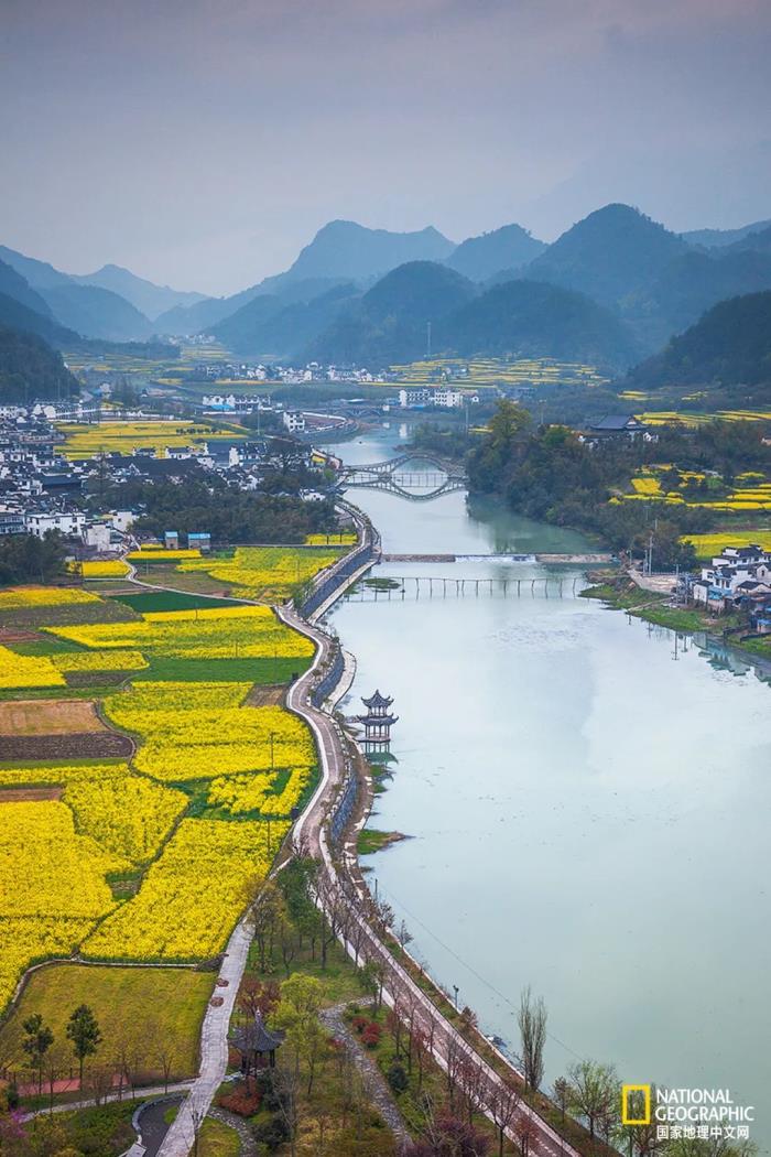 徽州归来不看春,中国江南春意的最高潮! 徽州归来不看春,中国江南春意的最高潮!