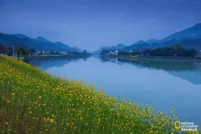 徽州归来不看春,中国江南春意的最高潮! 徽州归来不看春,中国江南春意的最高潮!
