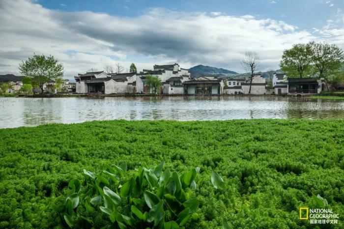 徽州归来不看春,中国江南春意的最高潮! 徽州归来不看春,中国江南春意的最高潮!