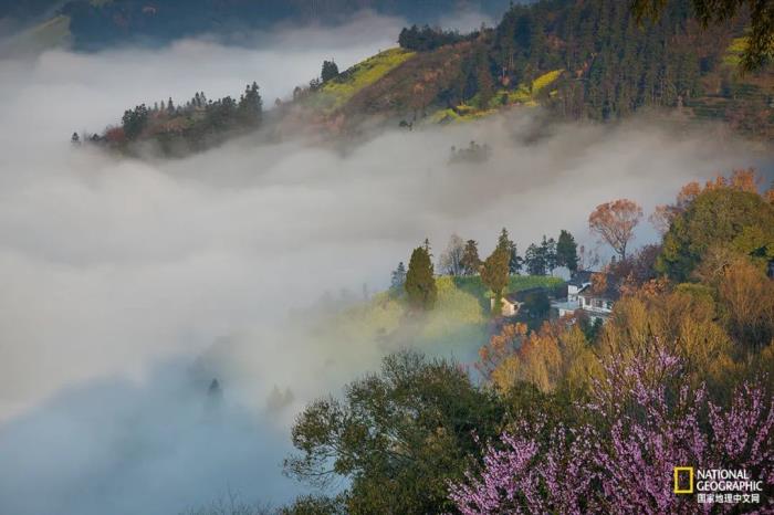 徽州归来不看春,中国江南春意的最高潮! 徽州归来不看春,中国江南春意的最高潮!