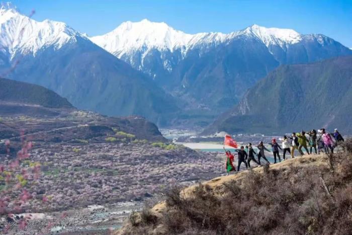 年年卖爆的西藏林芝桃花 解锁全新玩法! 年年卖爆的西藏林芝桃花 解锁全新玩法!