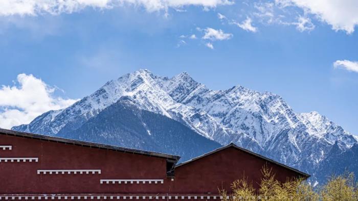 年年卖爆的西藏林芝桃花 解锁全新玩法! 年年卖爆的西藏林芝桃花 解锁全新玩法!