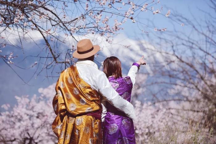 年年卖爆的西藏林芝桃花 解锁全新玩法! 年年卖爆的西藏林芝桃花 解锁全新玩法!