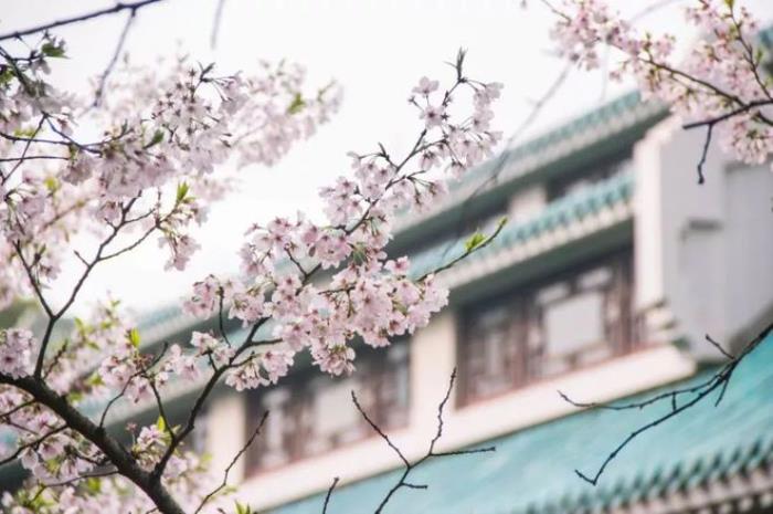 四月,这些浪漫的旅游景点,适合邂逅爱情 四月,这些浪漫的旅游景点,适合邂逅爱情