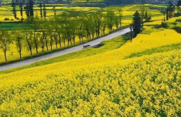 四月,这些浪漫的旅游景点,适合邂逅爱情 四月,这些浪漫的旅游景点,适合邂逅爱情