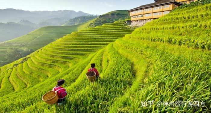 为你定制桂林伴游攻略路线 为你定制桂林伴游攻略路线