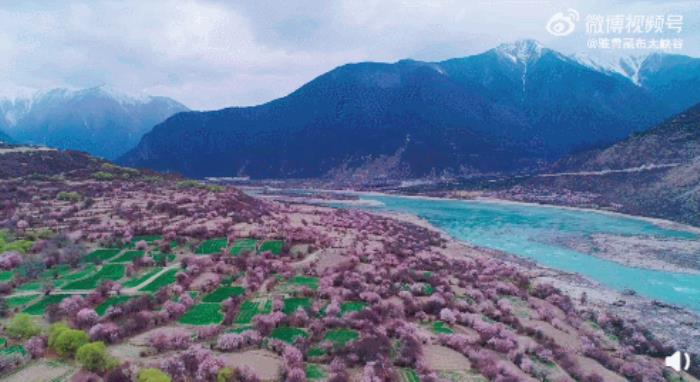 位列世界峡谷之首 春日乘热气球赏西藏雪山桃林! 位列世界峡谷之首 春日乘热气球赏西藏雪山桃林!