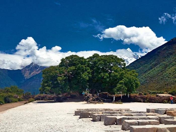 位列世界峡谷之首 春日乘热气球赏西藏雪山桃林! 位列世界峡谷之首 春日乘热气球赏西藏雪山桃林!