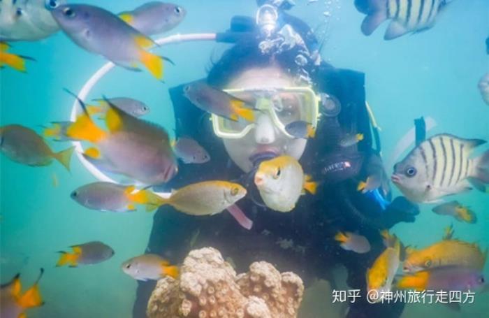 厦门口碑好的当地私人伴游,让你的厦门旅游开心放心, 厦门口碑好的当地私人伴游,让你的厦门旅游开心放心,