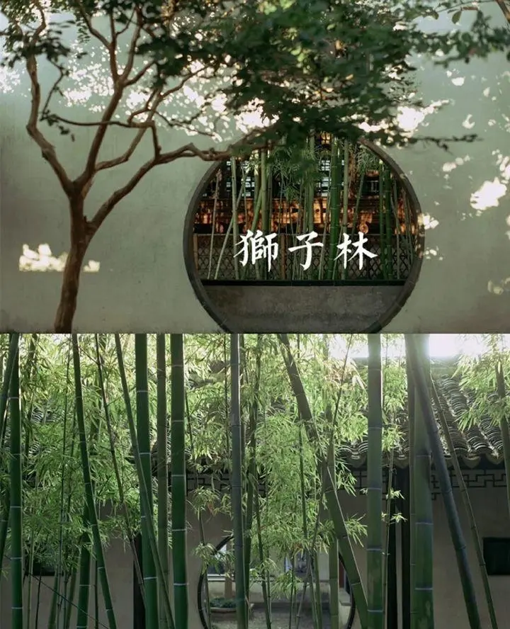 杭州当地纯玩知名伴游推荐旅游攻略到杭州伴游自助游旅游4日游 杭州当地纯玩知名伴游推荐旅游攻略到杭州伴游自助游旅游4日游