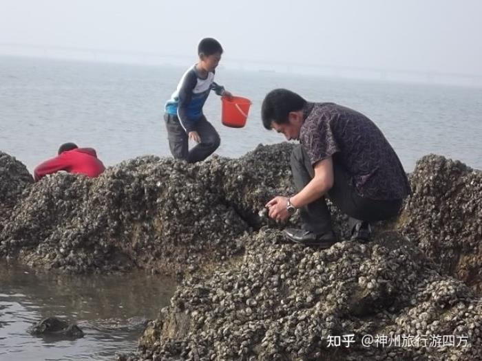 福建厦门伴游路线,厦门伴游必去景点大全,让你的伴游轻松愉快! 福建厦门伴游路线,厦门伴游必去景点大全,让你的伴游轻松愉快!