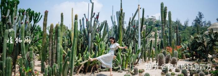 福建厦门伴游路线,厦门伴游必去景点大全,让你的伴游轻松愉快! 福建厦门伴游路线,厦门伴游必去景点大全,让你的伴游轻松愉快!