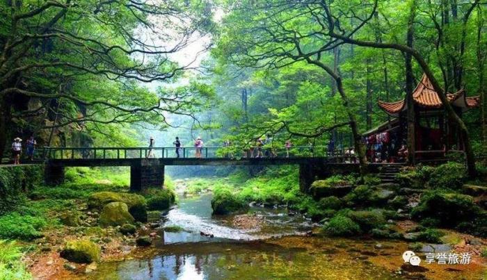 张家界导游向送平微信,一起领略张家界的神奇风光 张家界导游向送平微信,一起领略张家界的神奇风光