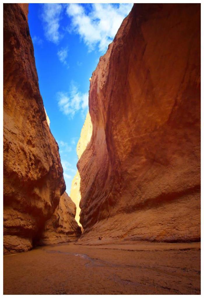 中国8大国家级公园,藏着世界级美景 中国8大国家级公园,藏着世界级美景