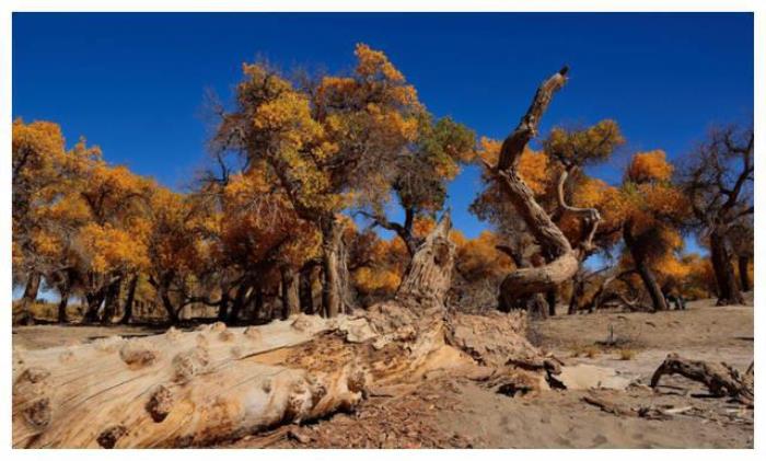 中国8大国家级公园,藏着世界级美景 中国8大国家级公园,藏着世界级美景