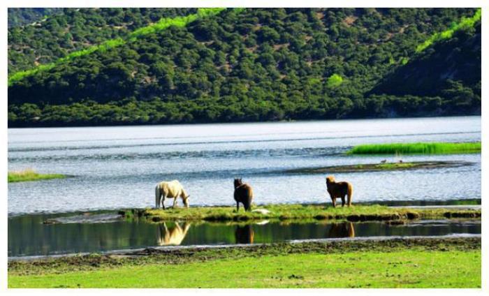中国8大国家级公园,藏着世界级美景 中国8大国家级公园,藏着世界级美景