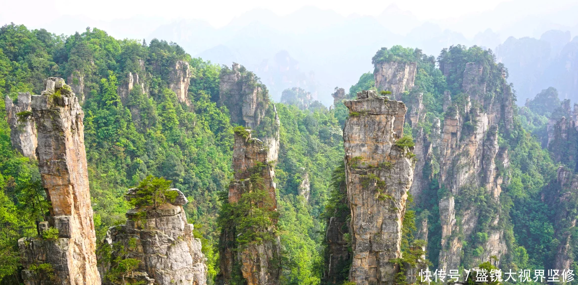 张家界怎么提前做旅游攻略,怎么做伴游玩攻略呢? 张家界怎么提前做旅游攻略,怎么做伴游玩攻略呢?