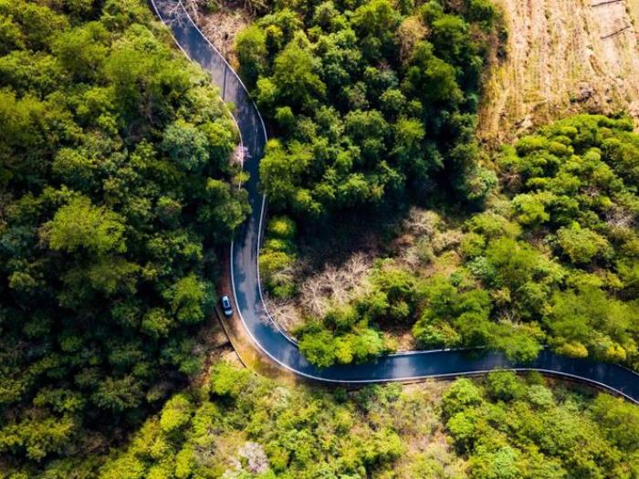 最美的风景,永远在路上!适合春天出发的5条自驾路线,出发吧! 最美的风景,永远在路上!适合春天出发的5条自驾路线,出发吧!