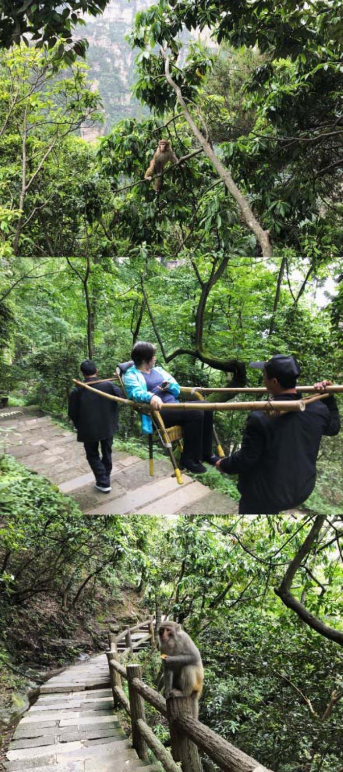 张家界自由行不是传统旅行社负团费操作,自由定景点安排 张家界自由行不是传统旅行社负团费操作,自由定景点安排