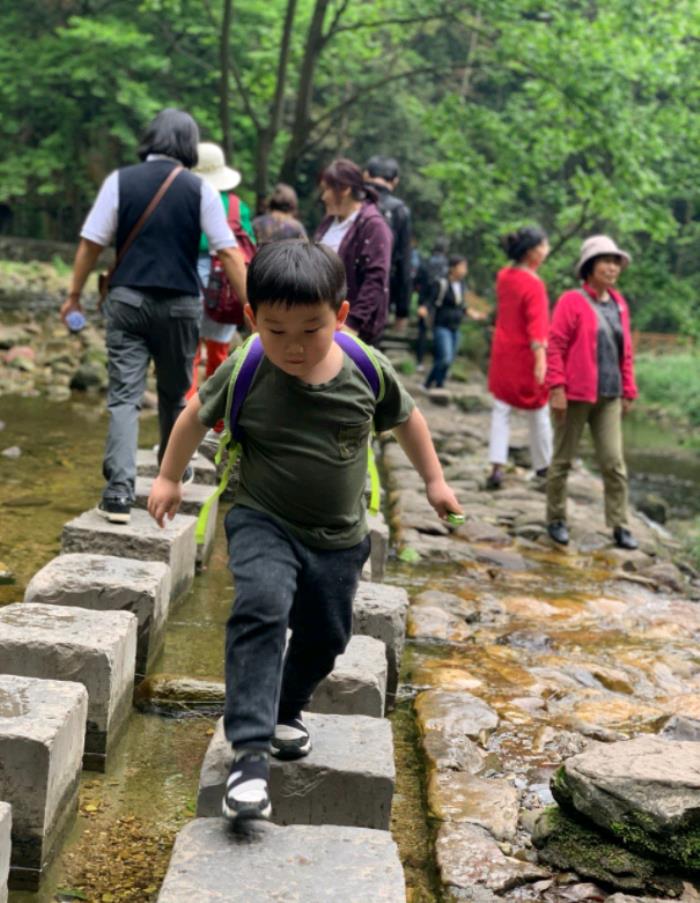 张家界自由行不是传统旅行社负团费操作,自由定景点安排 张家界自由行不是传统旅行社负团费操作,自由定景点安排