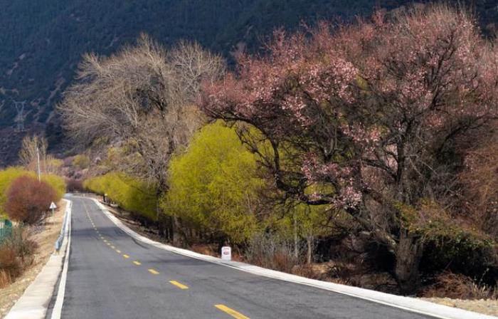 最美的风景,永远在路上!适合春天出发的5条自驾路线,出发吧! 最美的风景,永远在路上!适合春天出发的5条自驾路线,出发吧!