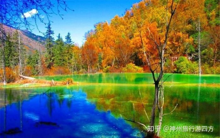 私人导游
才跟闺蜜到四川成都玩了5天,去之前自己也做了一些攻略 私人导游
才跟闺蜜到四川成都玩了5天,去之前自己也做了一些攻略