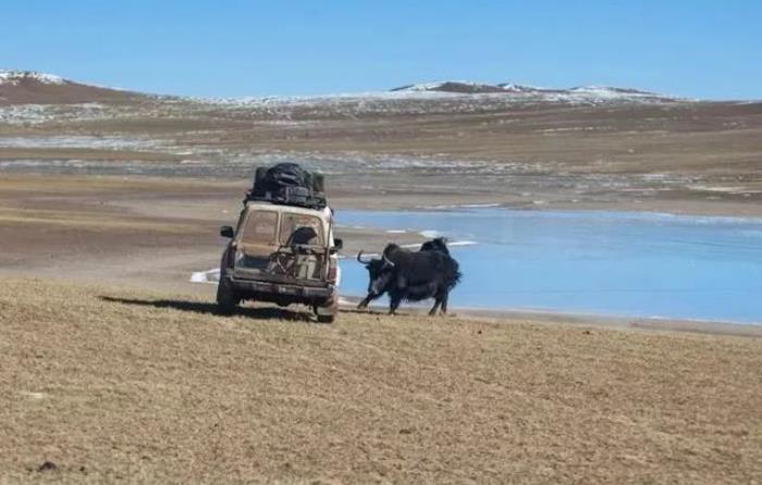 云南小伙自驾西藏11次,总结出10大经验,值得收藏 云南小伙自驾西藏11次,总结出10大经验,值得收藏