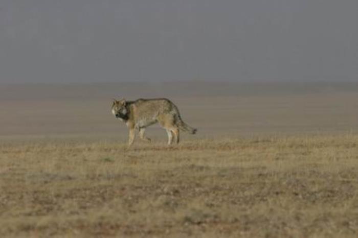 云南小伙自驾西藏11次,总结出10大经验,值得收藏 云南小伙自驾西藏11次,总结出10大经验,值得收藏
