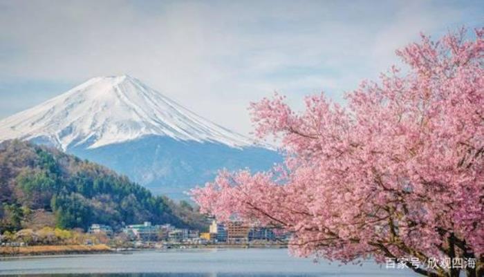 中国小伙在日本大赚特赚,感叹日本伴游服务质量高 中国小伙在日本大赚特赚,感叹日本伴游服务质量高