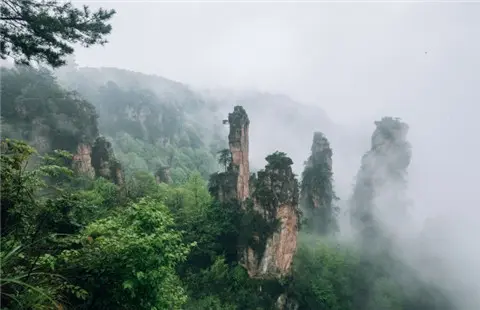 到张家界和凤凰古城旅行请商务伴游多少钱,张家界该怎么玩? 到张家界和凤凰古城旅行请商务伴游多少钱,张家界该怎么玩?