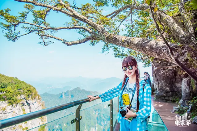 到张家界和凤凰古城旅行请商务伴游多少钱,张家界该怎么玩? 到张家界和凤凰古城旅行请商务伴游多少钱,张家界该怎么玩?