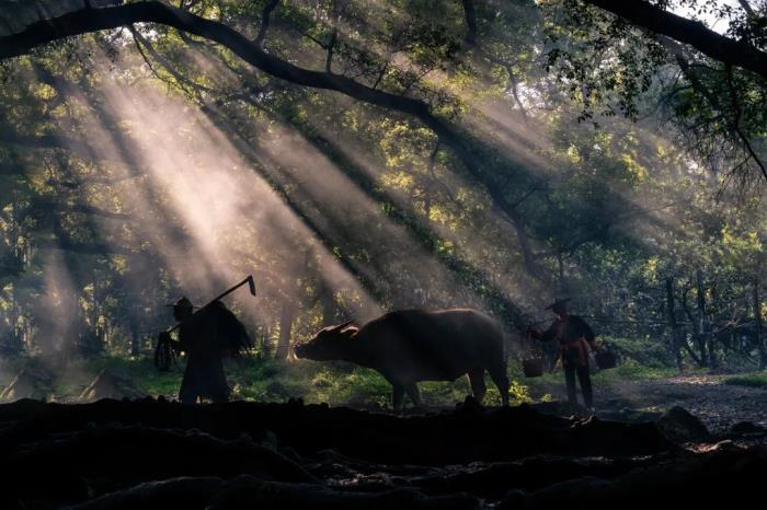 这小城靠“摆拍天堂”火出国外 我却更爱真实的它 这小城靠“摆拍天堂”火出国外 我却更爱真实的它